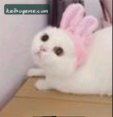 孙浩