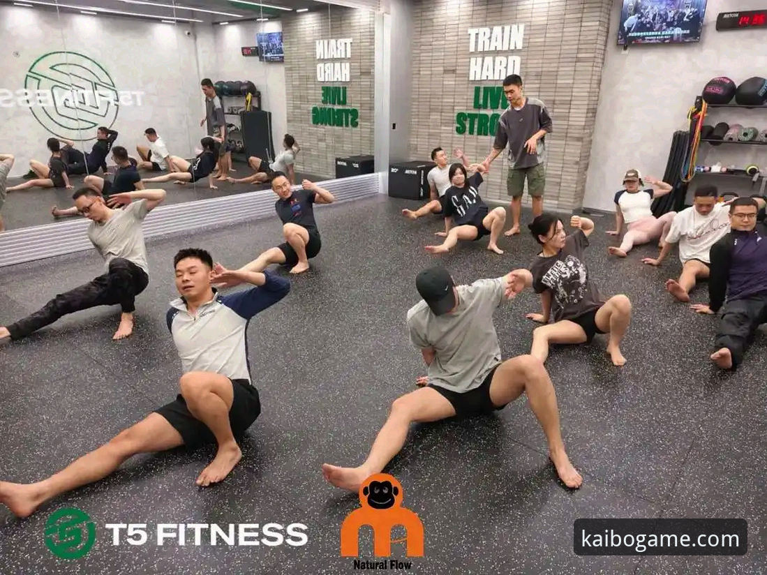 5个关键维度深度解析开博体育官方下载评测：从版本迭代看行业趋势
